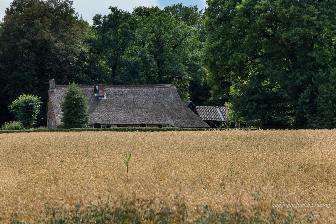 Jelly'S Hoeve (Adults Only) Havelte Extérieur photo